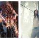 Stills from horror films The Fly, and Antichrist