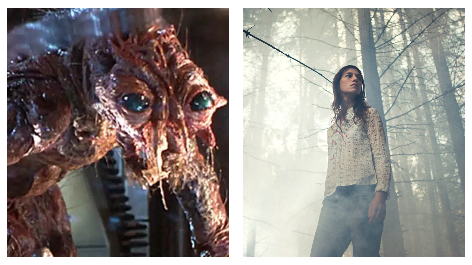 Stills from horror films The Fly, and Antichrist