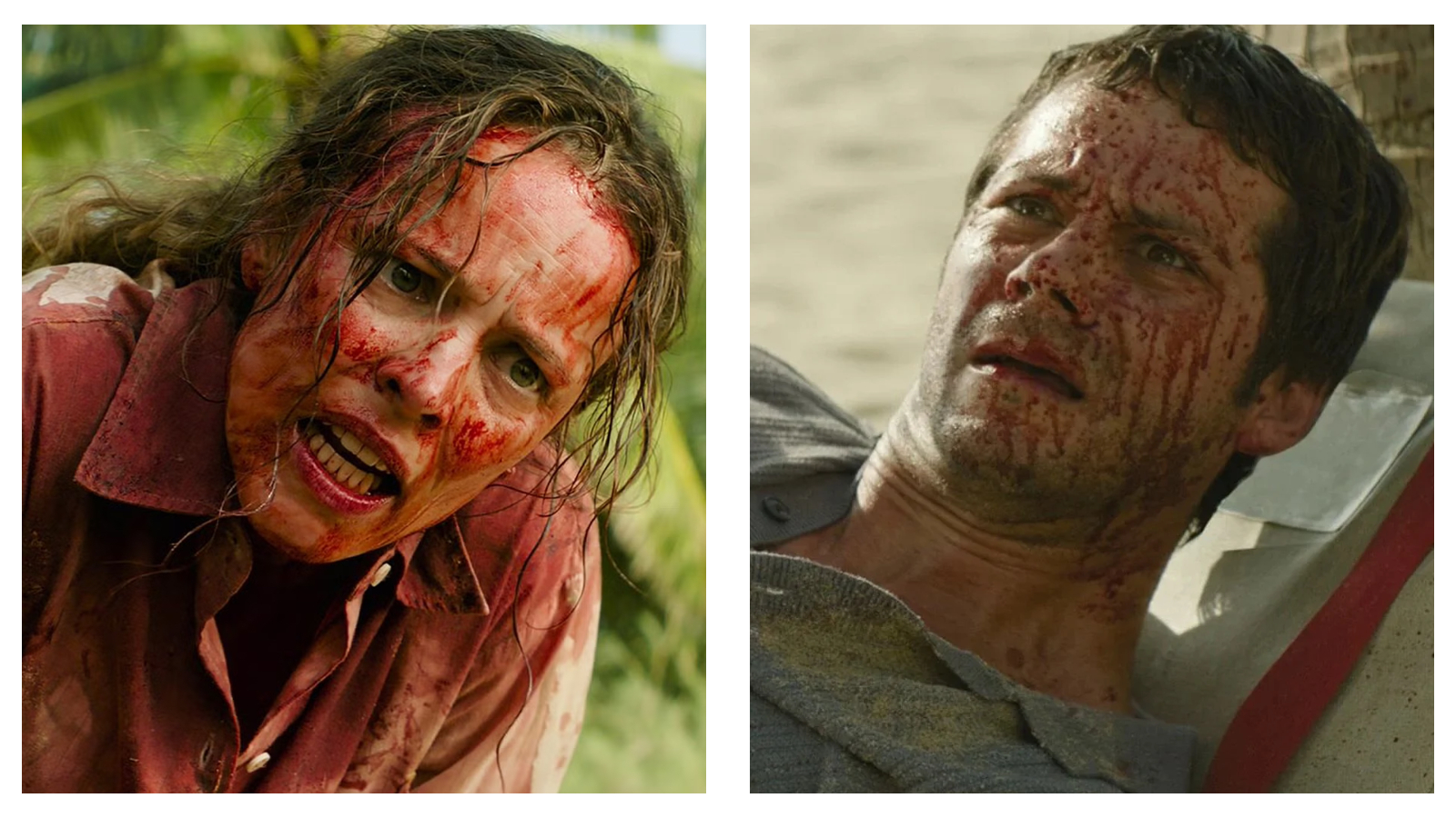 Stills from the film Send Help