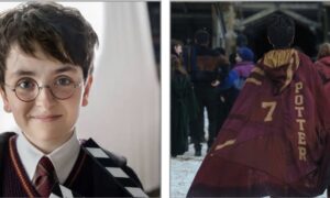 Harry Potter HBO series