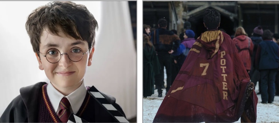 Harry Potter HBO series