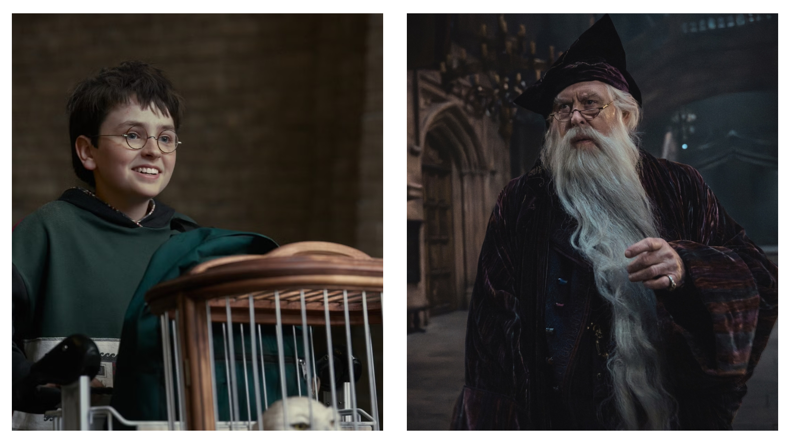 Harry Potter and Dumbledore in the new HBO series