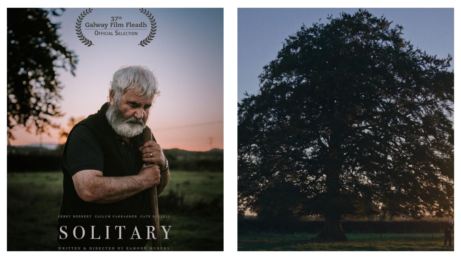 Left still: A bearded man looks downwards, resting his hands on a wooden handle against a twilight sky, featuring the text "37th Galway Film Fleadh OFFICIAL SELECTION", "GERRY HERBERT CAILUM CARRAGHER CATE RUSSELL", "SOLITARY", and "WRITTEN & DIRECTED BY EAMONN MURPHY". Right still: A large silhouetted tree stands in a rural field at dusk, with a small figure walking near a distant fence line.