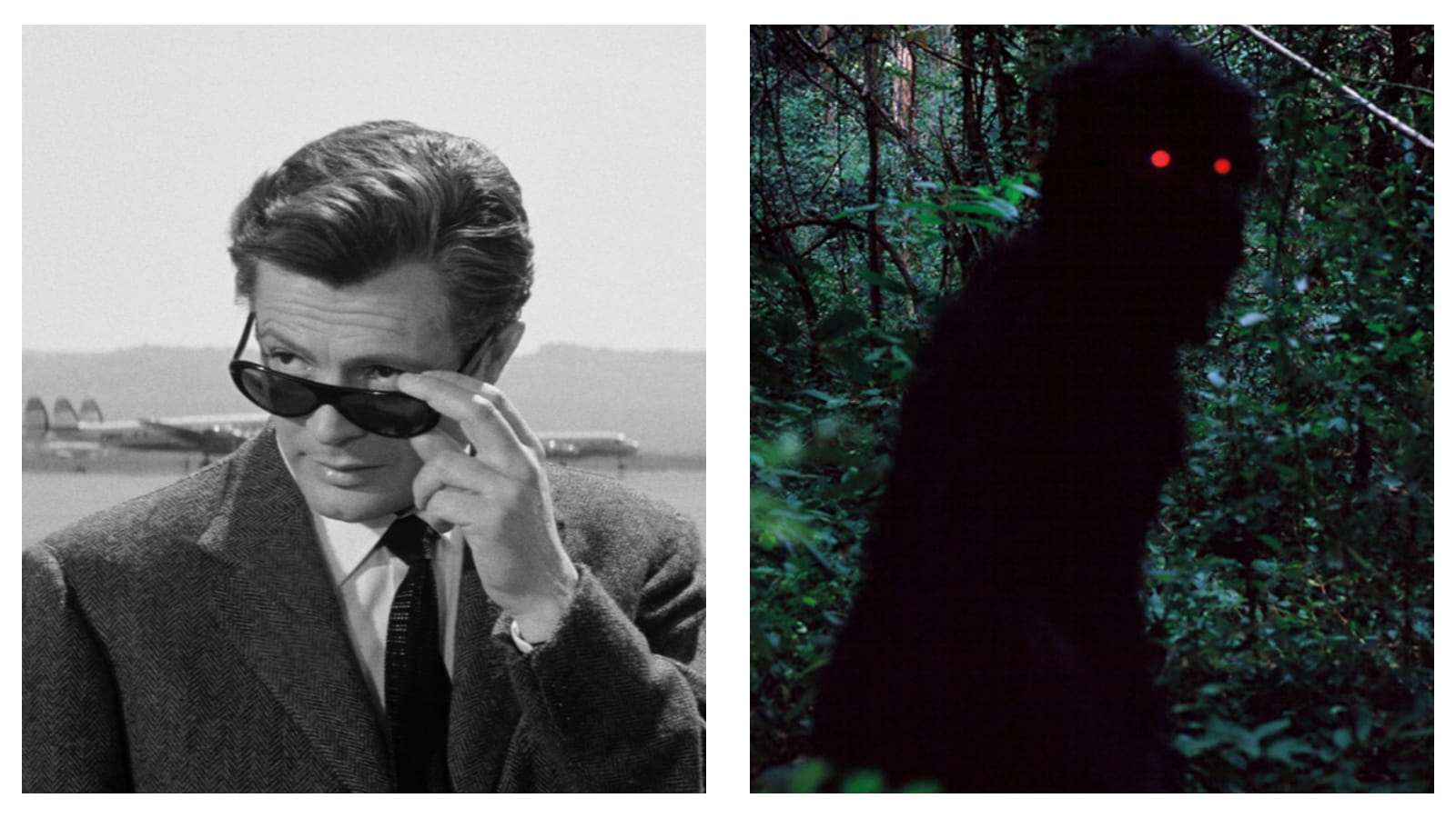 Palme d'Or Uncle Boonmee and La Dolce Vita