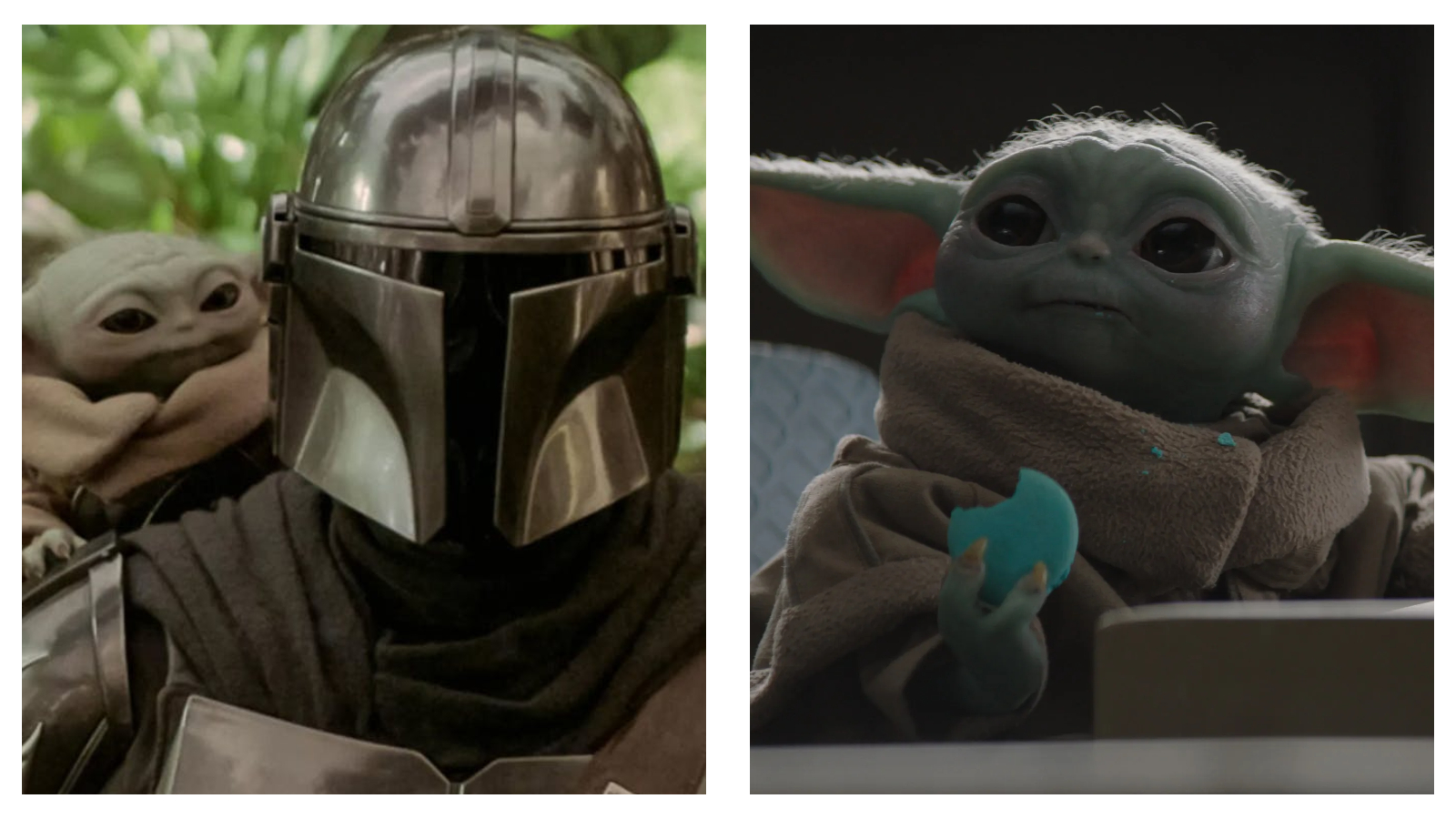 Here is the high-quality, accessible alt-text for the image: --- ## Alt-Text A side-by-side composite of two scenes from The Mandalorian: on the left, the Mandalorian in his silver helmet with Grogu peeking over his shoulder against a green foliage background; on the right, a close-up of Grogu holding a half-eaten blue biscuit with crumbs on his face.