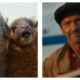 Two side-by-side film stills from The Sheep Detectives showing a close-up of two wide-eyed, open-mouthed sheep looking alarmed on the left, next to a smiling, Hugh Jackman wearing a flat cap and a tan jacket on the right.