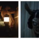 Side-by-side cinematic stills from Hokum. On the left, Adam Scott's Ohm wearing glasses crouches inside a dark wooden crawlspace, holding a warmly lit lantern. On the right, a pale, unsettling figure with large animal ears and wide, unblinking eyes stares forward in front of dim curtains.
