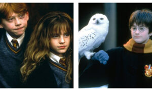 Side-by-side film stills from Harry Potter and the Philosopher's Stone. On the left, Ron Weasley and Hermione Granger look onwards in their Hogwarts uniforms; on the right, Harry Potter wears round glasses and a Gryffindor scarf while holding Hedwig the snowy owl on his gloved arm.