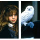 Side-by-side film stills from Harry Potter and the Philosopher's Stone. On the left, Ron Weasley and Hermione Granger look onwards in their Hogwarts uniforms; on the right, Harry Potter wears round glasses and a Gryffindor scarf while holding Hedwig the snowy owl on his gloved arm.