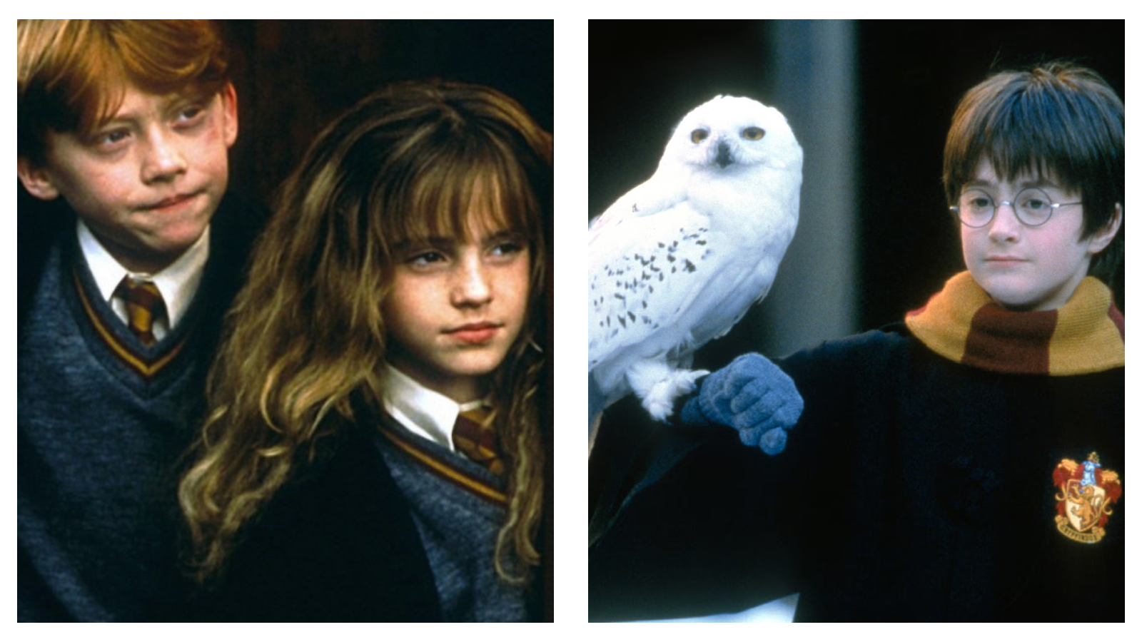 Side-by-side film stills from Harry Potter and the Philosopher's Stone. On the left, Ron Weasley and Hermione Granger look onwards in their Hogwarts uniforms; on the right, Harry Potter wears round glasses and a Gryffindor scarf while holding Hedwig the snowy owl on his gloved arm.