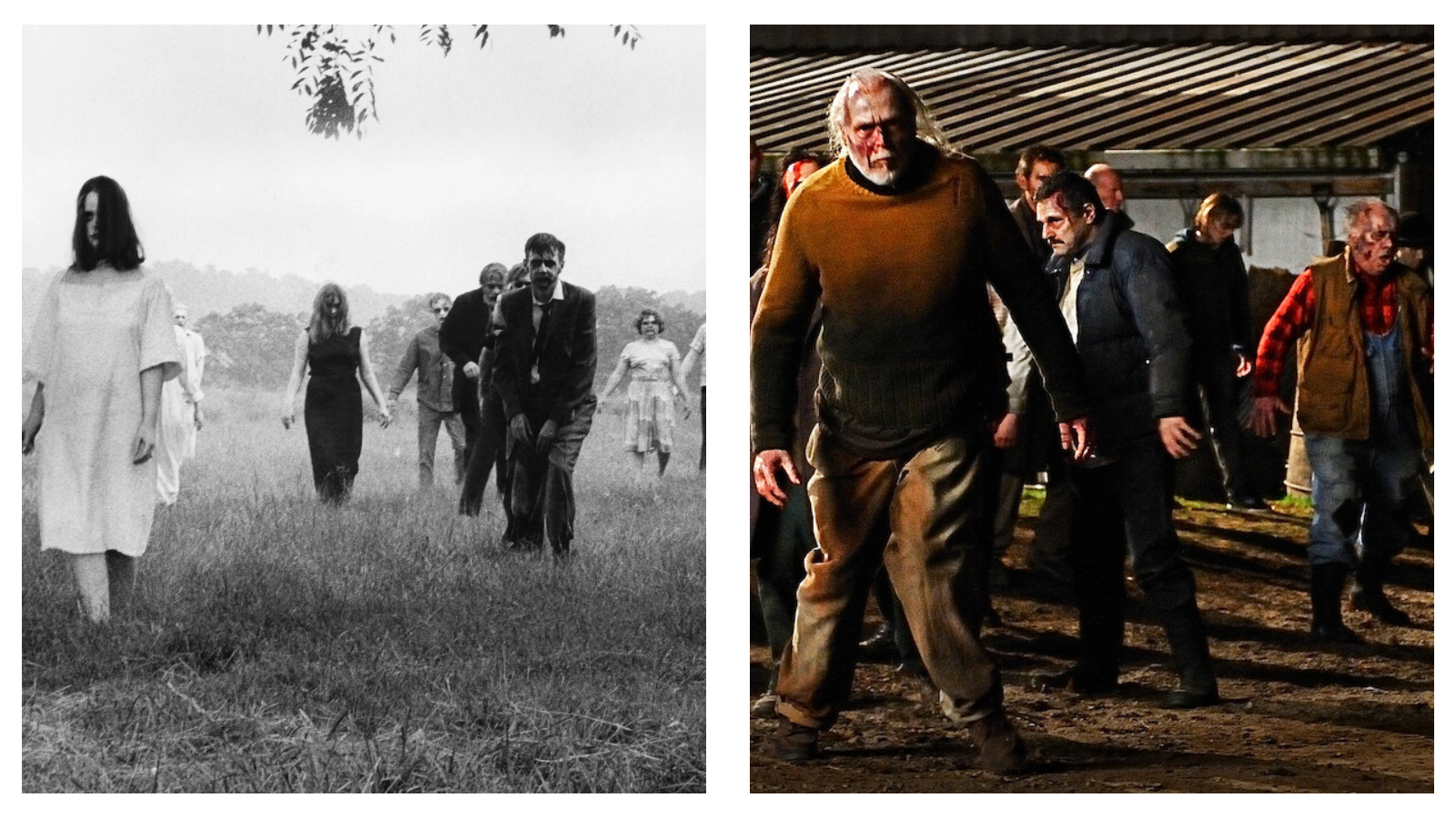Two side-by-side film stills contrasting different eras of George A. Romero's zombie cinema. On the left, a black-and-white scene from Night of the Living Dead depicts several vacant-looking zombies in civilian clothing walking slowly through a grassy field under a bright, overcast sky. On the right, a high-contrast, full-colour scene from Survival of the Dead shows a group of menacing, blood-stained zombies walking down a dark, muddy path at night.