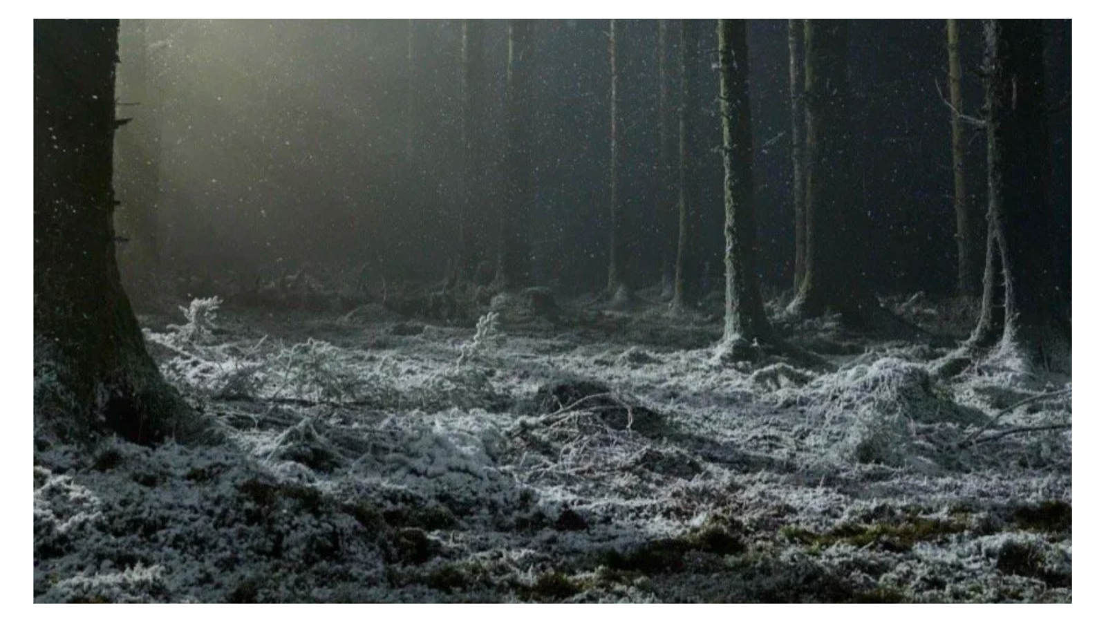A dark, atmospheric pine forest floor lightly covered in frost and snow under a moody, directional light beam filtered through falling snow or mist. Dark tree trunks frame the clearing, creating an eerie, cinematic winter landscape.