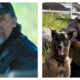 Side-by-side movie stills from The Dog Stars. On the left, Josh Brolin wears a baseball cap and dark leather jacket while looking intently off-camera. On the right, Jacob Elordi in a padded jacket and cap sits outdoors looking skyward, next to a German Shepherd dog facing forward.
