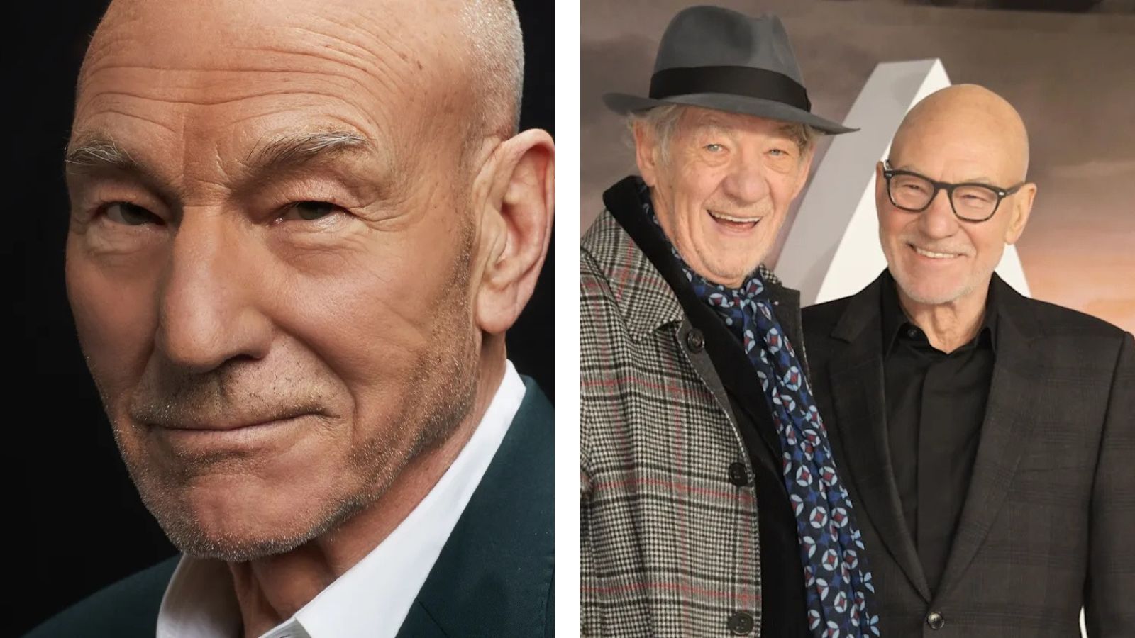 Patrick Stewart and Ian McKellen